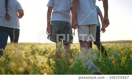 a group of children walk across the field on the grass. happy family kid dream concept. children walking in a field with tall grass. girls holding hands in the foreground legs close up lifestyle 106359987