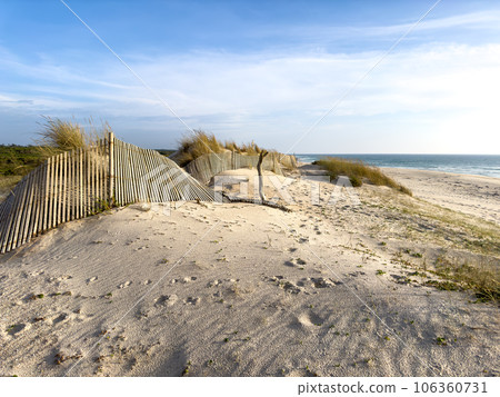 Sandy dunes on Furadouro beach Sandy dunes on Furadouro beach 106360731