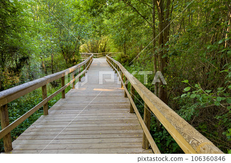 Wooden pathway in Fiaes Wooden pathway in Fiaes 106360846