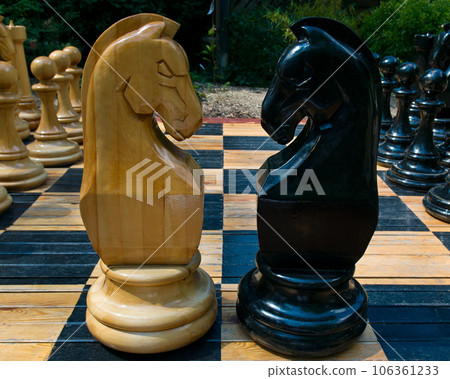 Confrontation of white and black chess horses. Confrontation of white and black chess horses. 106361233