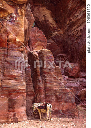 View of the Donkey, which stands against a rock in the Siq Canyon, Petra, Jordan 106361520