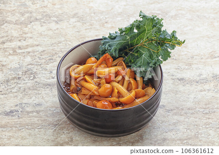 Wild pickled honey mushroom in the bowl 106361612