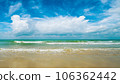 beautiful tropical beach and sea with blue sky 106362442