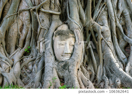Beautiful Buddhas of Ayutthaya ruins, at Wat Ratchaburana and Wat Mahathat. Beautiful Buddhas of Ayutthaya ruins, at Wat Ratchaburana and Wat Mahathat. 106362641