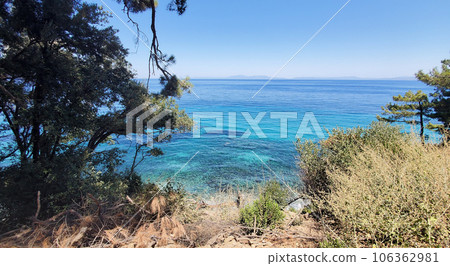 view from tei trees of rocky shore to sea water and blue sky. seascape view from tei trees of rocky shore to sea water and blue sky. seascape 106362981