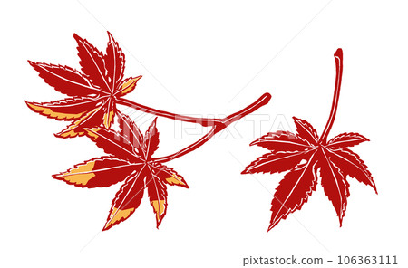 3 Acer palmatum leaves in autumn colors brushed and painted in 2 colors 106363111