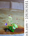 鮮花 106363681