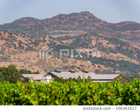 Sunny exterior view of the Silver Oak Napa Valley 106363817