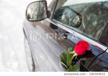 red rose 106364632