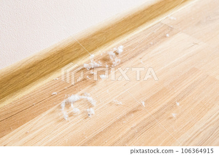 dust dust 106364915