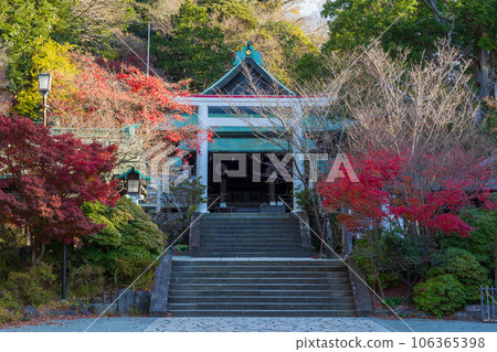 Kamakura, the ancient capital of late autumn Kamakura Palace (Daitogu) in autumn leaves, the second torii gate and worship hall Kamakura, the ancient capital of late autumn Kamakura Palace (Daitogu) in autumn leaves, the second torii gate and worship hall 106365398