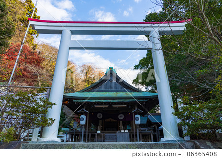 鎌倉，深秋的古都 秋葉中的鎌倉宮（大東宮），第二鳥居和禮拜堂 106365408