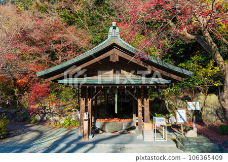 鎌倉，深秋的古都，秋葉的鎌倉區（大東區），Chozuya 106365409