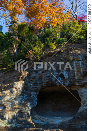 鎌倉，深秋的古都，瑞泉寺花園的秋葉 106366160