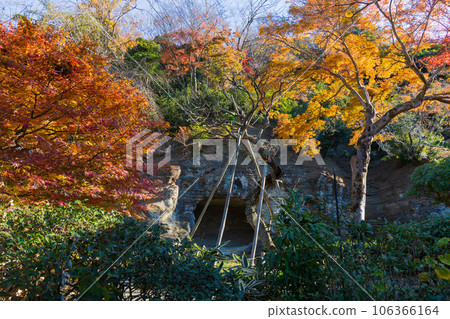Kamakura, the ancient capital of late autumn, Zuisenji Temple in autumn Kamakura, the ancient capital of late autumn, Zuisenji Temple in autumn 106366164