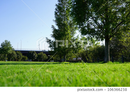 新橫濱公園草地廣場長椅 新橫濱公園草地廣場長椅 106366238