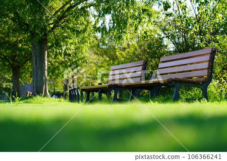 新橫濱公園草地廣場長椅 106366241