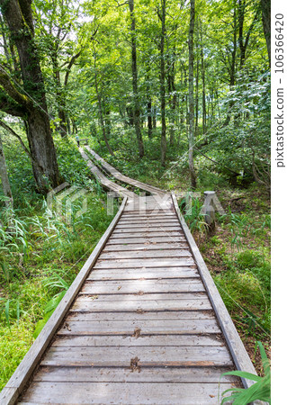 尾瀨原龍宮沼尻河大橋和龍宮森林 106366420
