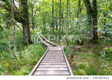 尾瀨原龍宮沼尻河大橋和龍宮森林 106366422