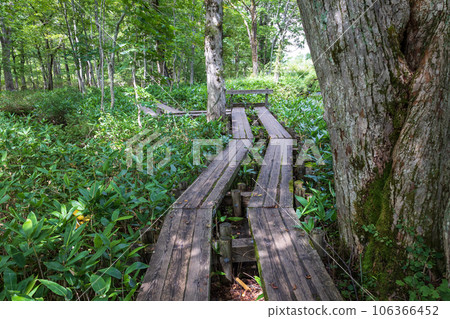 Ozegahara Ryugu no Mori 106366452