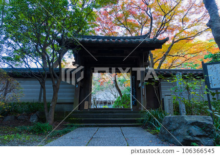 鎌倉，深秋的古都，瑞泉寺大門與秋葉 106366545