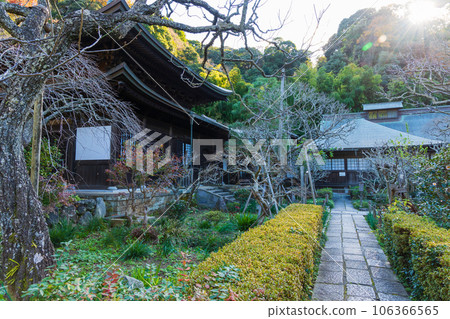 Kamakura, the ancient capital of late autumn, Zuisenji Temple in autumn 106366565