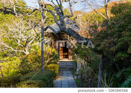 深秋的古都鎌倉、紅葉的瑞泉寺、地藏堂 106366566