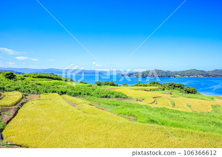 佐賀縣唐津市夏季的犬頭梯田 佐賀縣唐津市夏季的犬頭梯田 106366612