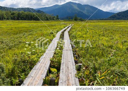 Ozegahara's tree road and Mt. Foshan 106366749