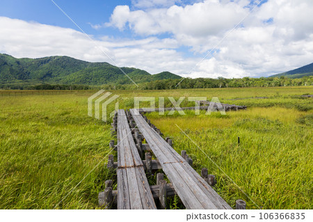 Ozegahara的樹路 106366835