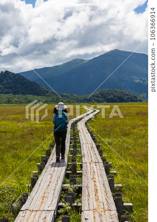 Ozegahara's tree road and Mt. Foshan Ozegahara's tree road and Mt. Foshan 106366914