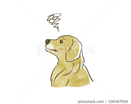 golden retriever in trouble 106367698