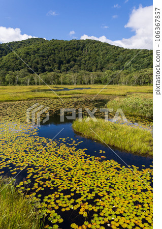 Okasebara的ital Town 106367857