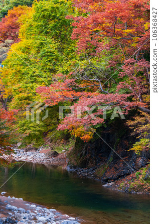 雨澤谷（秋季） 106368427