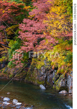 雨澤谷（秋季） 106368428