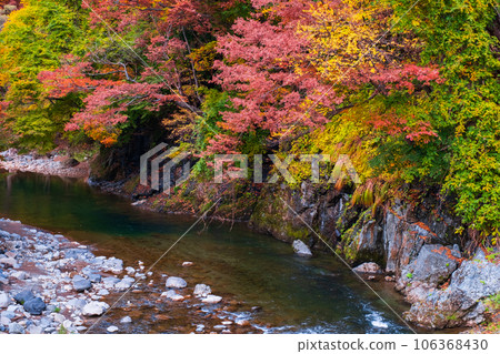 雨澤谷（秋季） 106368430