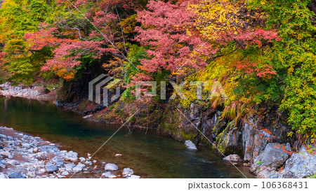 雨澤谷（秋季） 106368431
