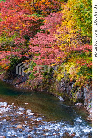 雨澤谷（秋季） 106368438