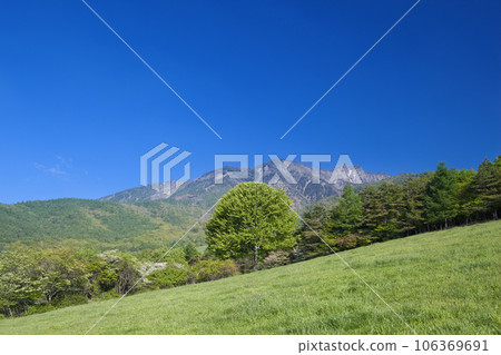 Kiyosato Plateau Yatsugatake and a single tree Kiyosato Plateau Yatsugatake and a single tree 106369691