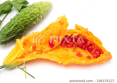 Bitter melon or bitter gourd (yellow) ready for seeds extraction. Bitter melon or bitter gourd (yellow) ready for seeds extraction. 106370127