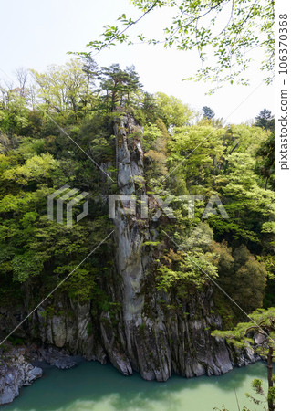 Tenryukyo Tokachi / Fresh green Ryukakumine [Iida City, Nagano Prefecture] 106370368