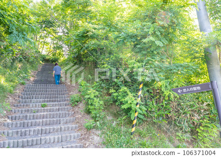 Cute squirrel at Atsuta Observation Deck, Ishikari City Air Road Park Lover's Sanctuary 106371004