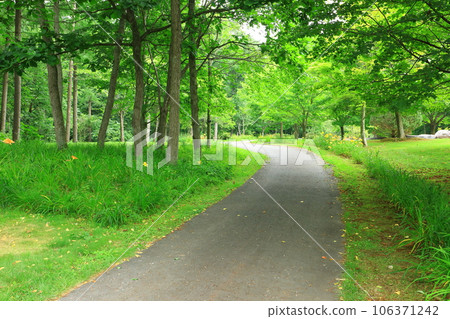 綠樹環繞的北馬公園長廊 綠樹環繞的北馬公園長廊 106371242