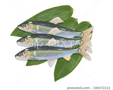 Sweetfish (with bamboo leaves) 106372222