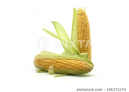 Corn on the cob with leaves over white background 106372274