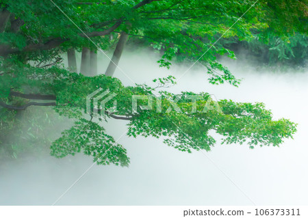 霧模式 106373311