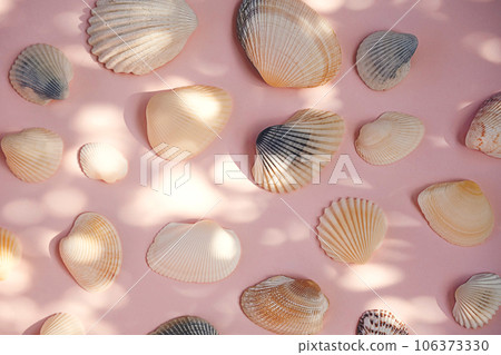 Seashells item. Beach memories concept. Seashells item. Beach memories concept. 106373330
