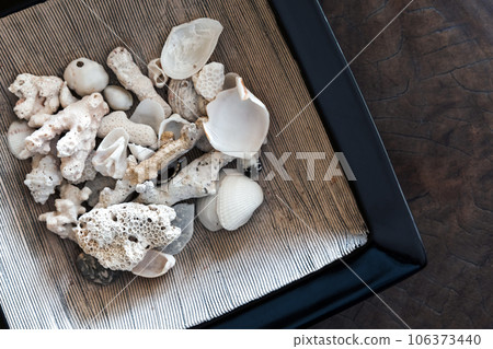 White shells and corals. Table decoration 106373440