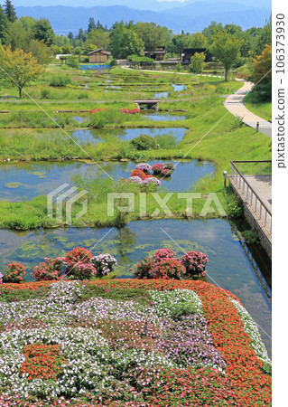 鄉村文化區的國家阿爾卑斯山安zu野公園H金和穗高地區池塘 106373930