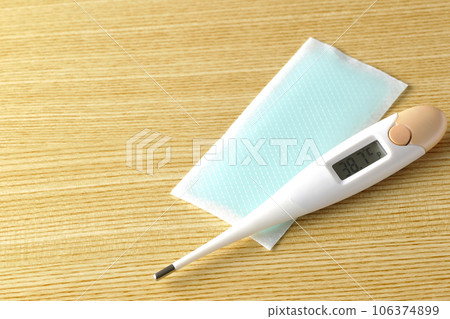 thermometer and cooling sheet 106374899